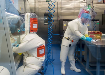 Conoce Henipavirus la nueva enfermedad detectada por China y Singapur 2 Aún se se desconoce si este virus se transmite de persona a persona