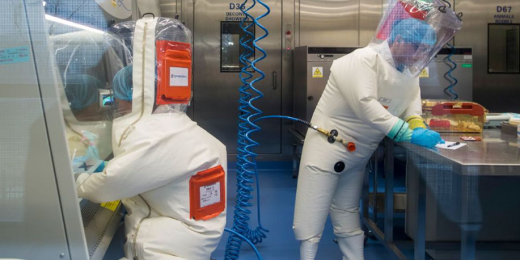 Conoce Henipavirus la nueva enfermedad detectada por China y Singapur 1 Aún se se desconoce si este virus se transmite de persona a persona