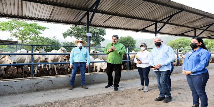 Maduro aseguró que el país inició la recuperación económica