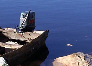 Pescador murió ahogado tras ser arrastrado por la corriente del río Orinoco