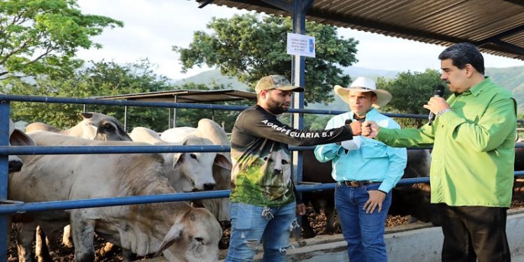 Punto de cuenta firmado para la creación de Comisión Nacional de Tierras 1 Punto de cuenta firmado para la creación de Comisión Nacional de Tierras