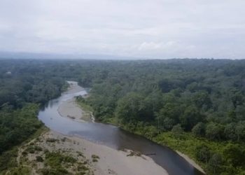 Se desconoce la nacionalidad de la menor y porque fue abandonada