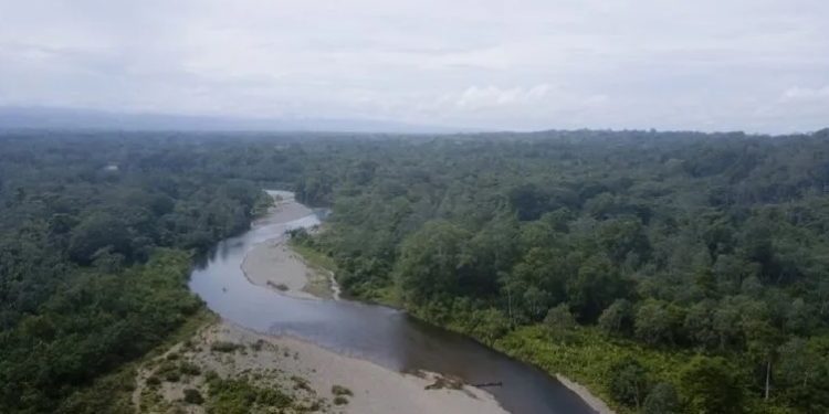 Rescataron a una niña abandonada en la selva del Darién (+detalles) 1 Se desconoce la nacionalidad de la menor y porque fue abandonada