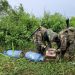 FANB da otro golpe a invasores TANCOL en Frontera de Colombia