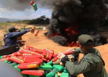 SUNAD incineró más de 2 mil kg de marihuana y 7 mil de cocaína