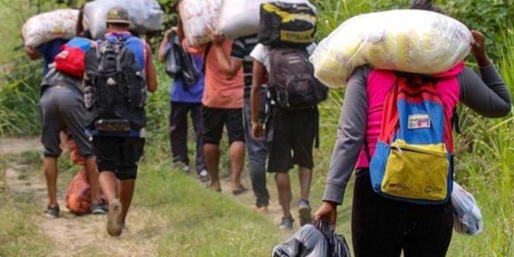 Senafront confirma el hallazgo de 18 cadáveres de migrantes venezolanos