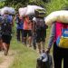 Senafront confirma el hallazgo de 18 cadáveres de migrantes venezolanos 8 Senafront confirma el hallazgo de 18 cadáveres de migrantes venezolanos