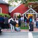 Florida trasladó a 50 migrantes venezolanos a isla en Massachusetts 9 migrantesmass5
