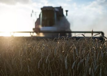 Extienden pacto alimentario entre Rusia, Türkiye y la ONU 2 Extienden pacto alimentario entre Rusia, Türkiye y la ONU