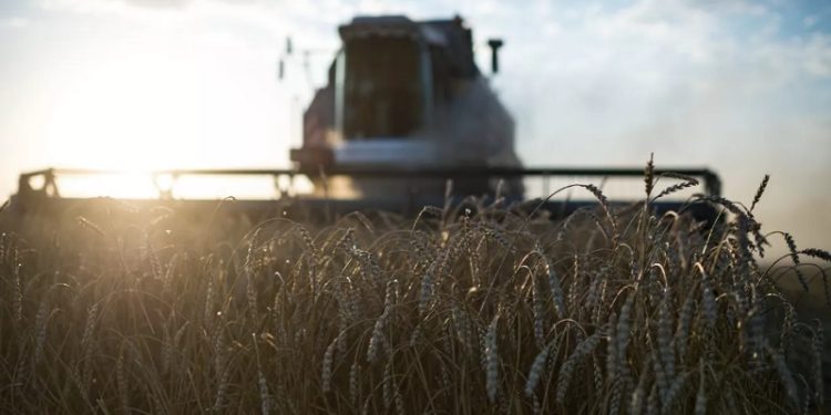 Extienden pacto alimentario entre Rusia, Türkiye y la ONU