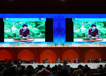 Tradicional té de China es incluido como Patrimonio Cultural en la UNESCO