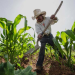 Fedeagro: Capacidad productiva se redujo a la mitad en 10 años 11 image 11