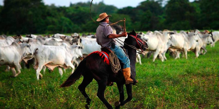 Fedenaga aspira construir más confianza para elevar inversiones 1 image 21