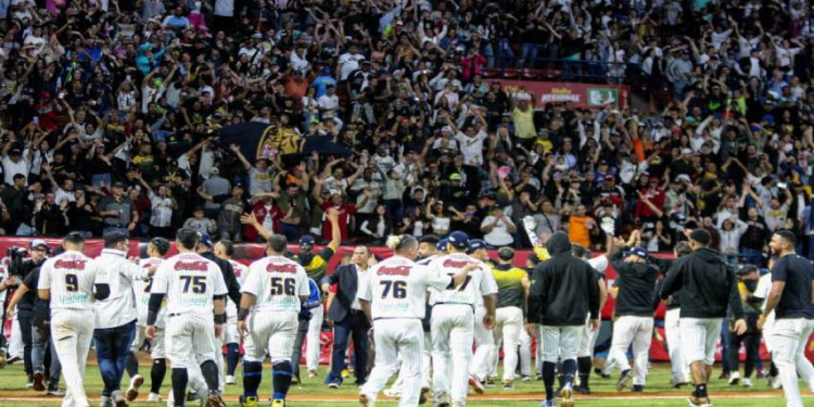 Harold Castro le dio el título 21 de su historia a Leones del Caracas 1 image 23