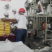 <strong>Gobierno asegura que Venezuela avanza en producción de alimentos para exportar</strong> 10 image 3