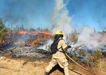 Estado de catástrofe por voraz incendio en Chile