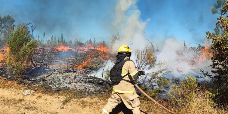 Voraz incendio en Chile ha dejado 13 muertos 1 Estado de catástrofe por voraz incendio en Chile