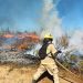 Voraz incendio en Chile ha dejado 13 muertos 9 Estado de catástrofe por voraz incendio en Chile