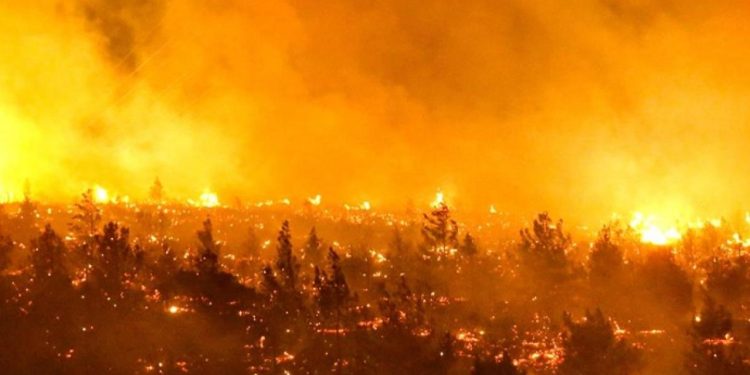 Gobierno de Chile anuncia toque de queda por incendios 1 Incendios en Chile llevan una semana