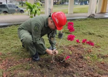 Ejecutan plan de mantenimiento ambiental en Monagas