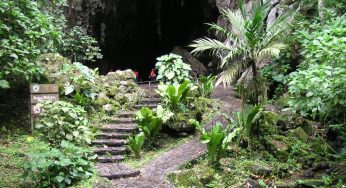 La Cueva del Guácharo uno de los principales atractivos turístico del estado Monagas