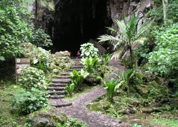 Imponente Cueva del Guácharo