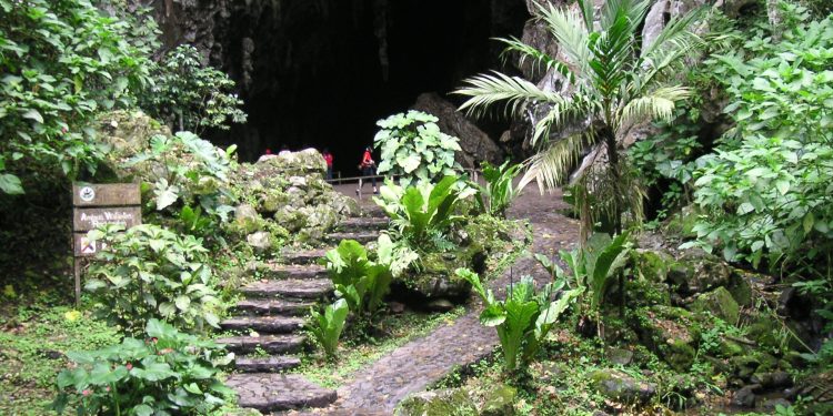 Imponente Cueva del Guácharo