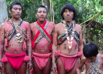 Implementará plan para enseñar lenguas indígenas desde la etapa escolar