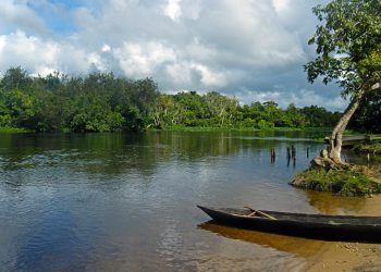 Para quienes gustan de las aventuras fluviales nada mejor que admirar la majestuosidad del Río Morichal Largo,