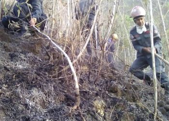 Funcionarios de los cuerpos de seguridad y prevención extiguen en pocas horas incendio suscitado en el Cerro Cocollar del municipio Caripe. (Foto: cortesía)