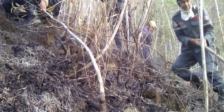 Funcionarios de los cuerpos de seguridad y prevención extiguen en pocas horas incendio suscitado en el Cerro Cocollar del municipio Caripe. (Foto: cortesía)