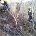 Funcionarios de los cuerpos de seguridad y prevención extiguen en pocas horas incendio suscitado en el Cerro Cocollar del municipio Caripe. (Foto: cortesía)