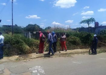 Las cuadrillas de Dimuca realizan el desmalezamiento y limpieza de la prolongación de la avenida Bolívar, que conduce al sector Nuevos Horizontes de Punta de Mata. (Foto: Cortesía)