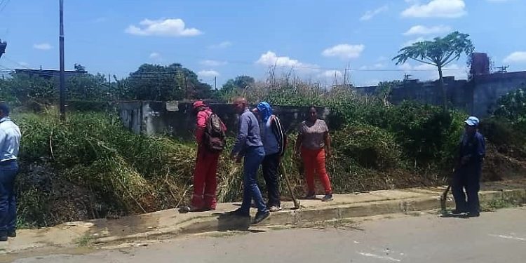 Alcaldía de Ezequiel Zamora realiza saneamiento en Nuevos Horizontes 1 Las cuadrillas de Dimuca realizan el desmalezamiento y limpieza de la prolongación de la avenida Bolívar, que conduce al sector Nuevos Horizontes de Punta de Mata. (Foto: Cortesía)