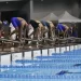 Venezuela imbatible en natación de los "Juegos del Alba" 13 IMG 20230424 203548 226 1024x682 1