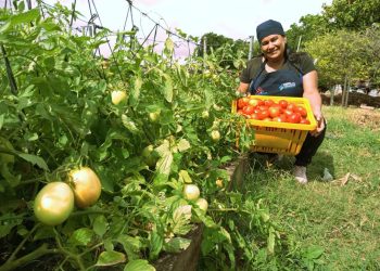 WhatsApp Image 2023 04 19 at 2.18.24 PM 1