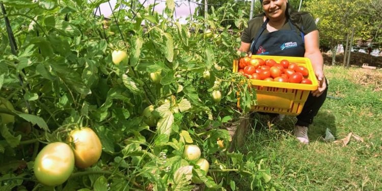 WhatsApp Image 2023 04 19 at 2.18.24 PM 1