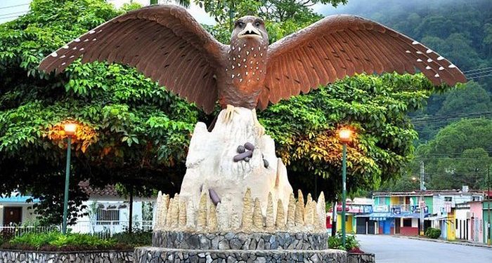 Te invitamos a conocer el "Jardín de Oriente" 1 caripe