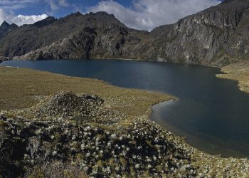 Banners web Mintur 04