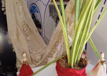 WhatsApp Image 2023 05 15 at 12.46.58 PM 1