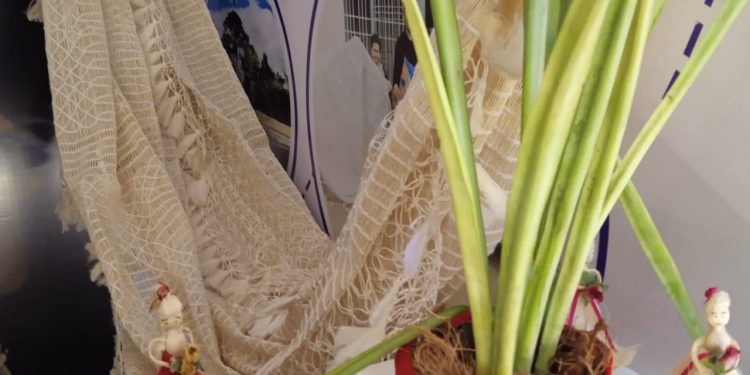 Aguasay impulsa su marca “Más que un Destino” para proyectar el turismo y la cultura 1 WhatsApp Image 2023 05 15 at 12.46.58 PM 1