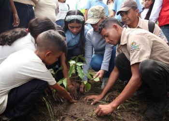 WhatsApp Image 2023 05 28 at 12.52.12 PM