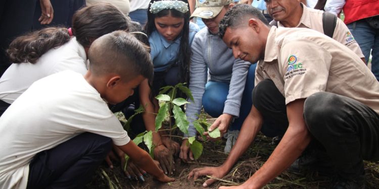 WhatsApp Image 2023 05 28 at 12.52.12 PM