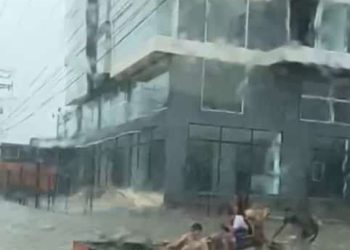 WhatsApp Image 2023 05 31 at 12.34.44 PM