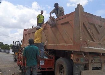 WhatsApp Image 2023 06 08 at 12.55.53 PM