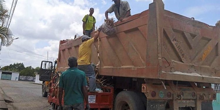 Avanzan labores de saneamiento en calles y avenidas del municipio Cedeño 1 WhatsApp Image 2023 06 08 at 12.55.53 PM