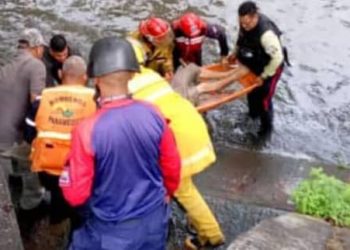 WhatsApp Image 2023 06 12 at 1.34.16 PM