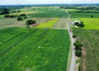 WhatsApp Image 2023 06 16 at 7.45.47 AM