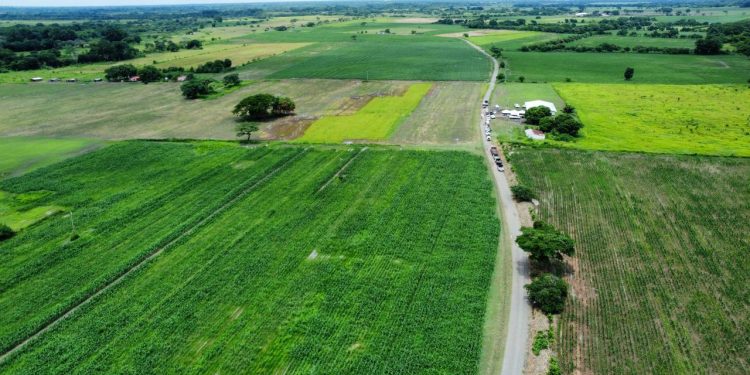 WhatsApp Image 2023 06 16 at 7.45.47 AM