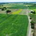 Con entrega de semillas e insumos agrícolas inicia Plan de Siembra Comunal 2023 en Portuguesa 12 WhatsApp Image 2023 06 16 at 7.45.47 AM